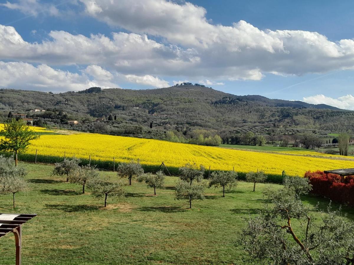 Podere Molinaccio Panicale Ngoại thất bức ảnh